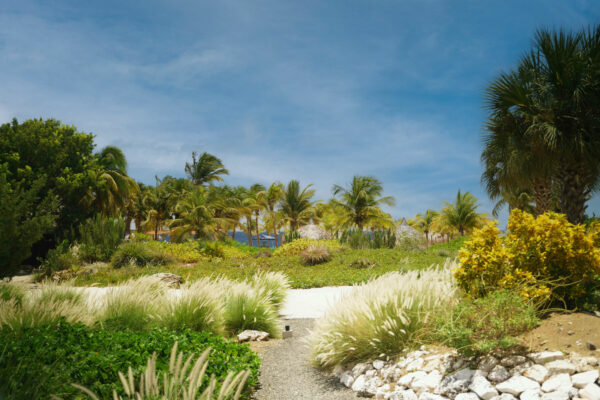 The Shore Blue bay Curacao