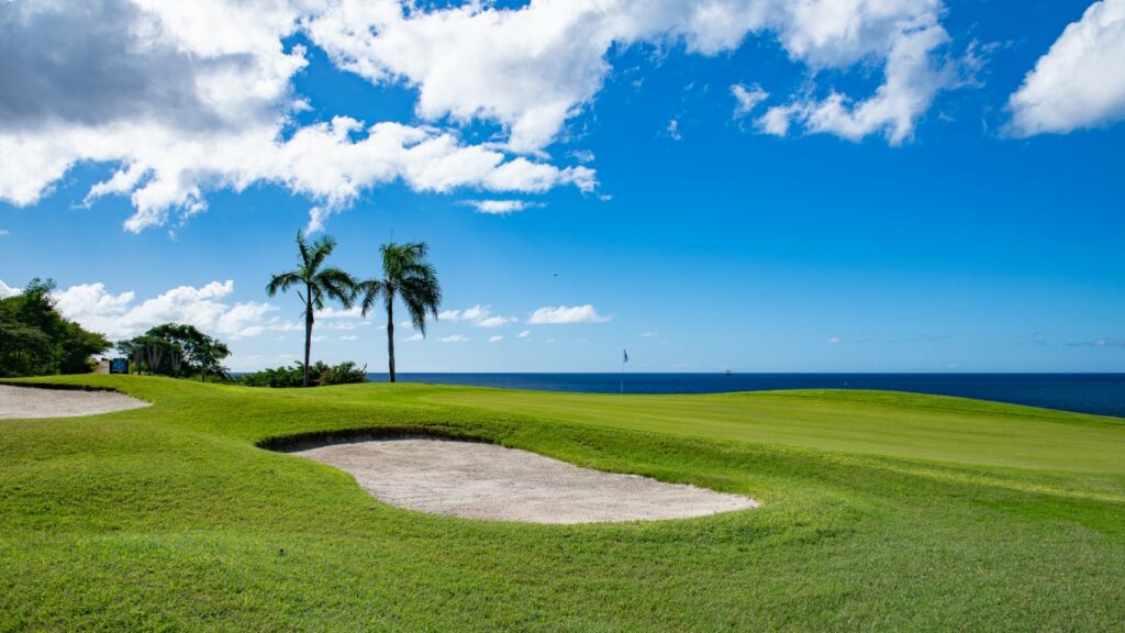 Golf Update 2021-13 (Medium)