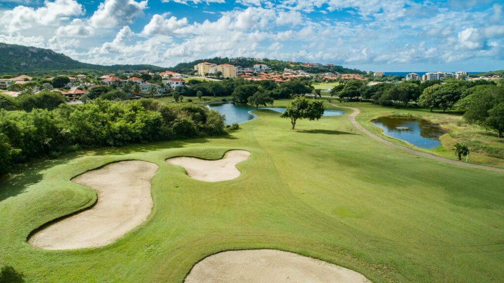 Golf Update 2021-35 (Medium)