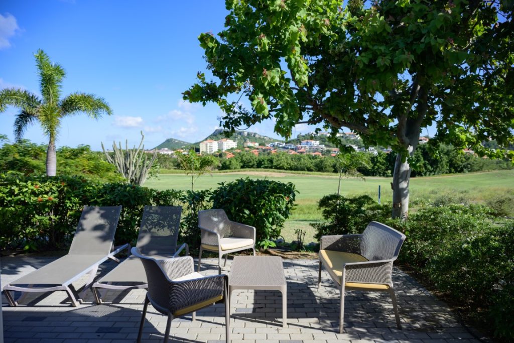 The Garden